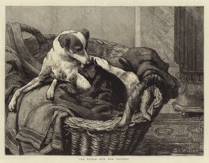 护士和她的病人 作者 塞缪尔·埃德蒙·沃勒